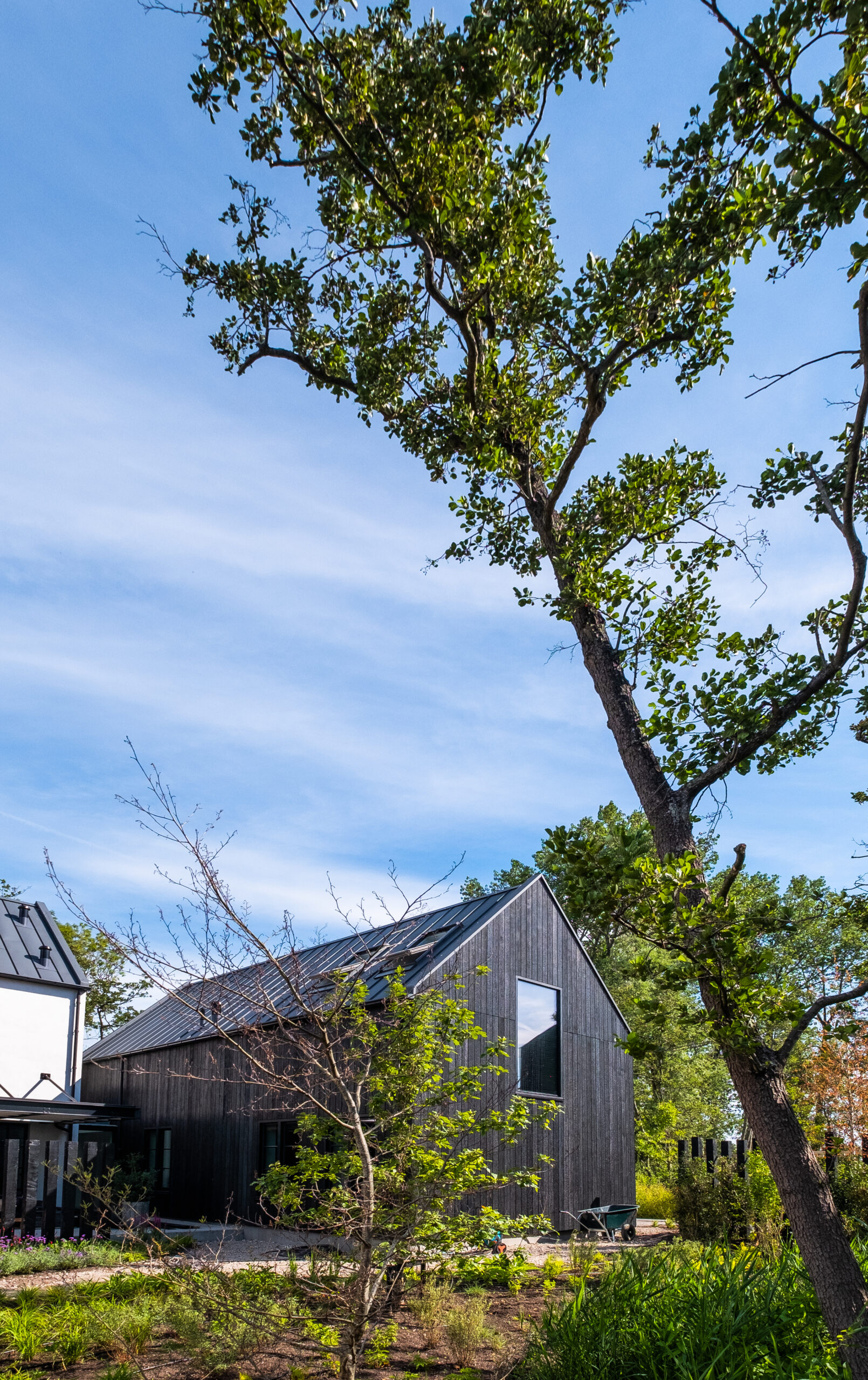 zwarthout-superbio's-orgaarchitects