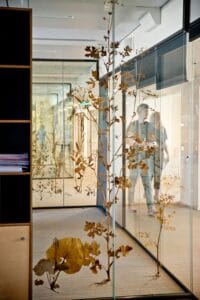 Anjelica_by_Crush_on_Nature___Erasmus_University